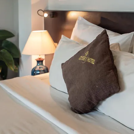 Hoi An Odyssey Hotel & Spa Room photo